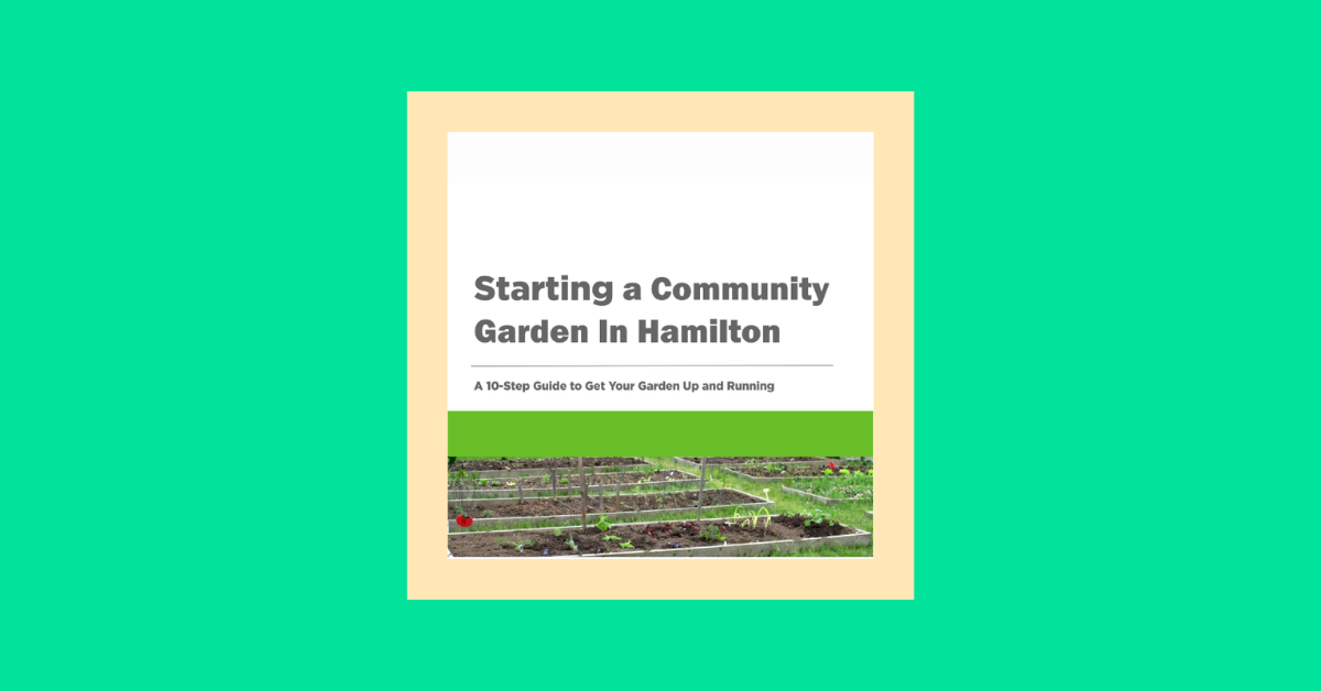 Starting a Community Garden in Hamilton